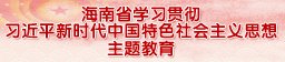 学习贯彻习近平新时代中国特色社会主义思想主题教育